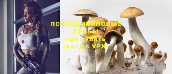 дмт Осинники