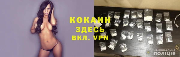 дмт Осинники