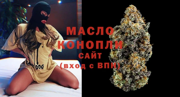 дмт Осинники
