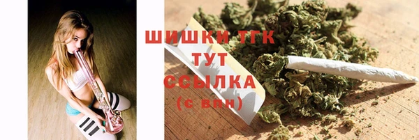 дмт Осинники