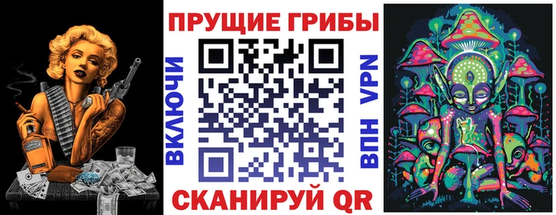 Псилоцибиновые грибы Psilocybine cubensis  Мытищи 