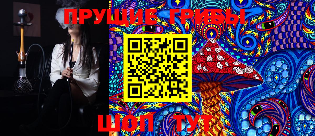 Галлюциногенные грибы Psilocybine cubensis  Мытищи  Галлюциногенные грибы Magic Shrooms 