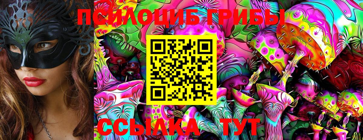 Галлюциногенные грибы Psilocybe  Вход с VPN  Мытищи 