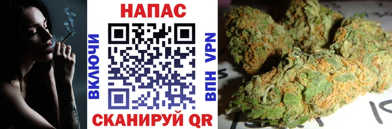 МАРИХУАНА сатива Мытищи